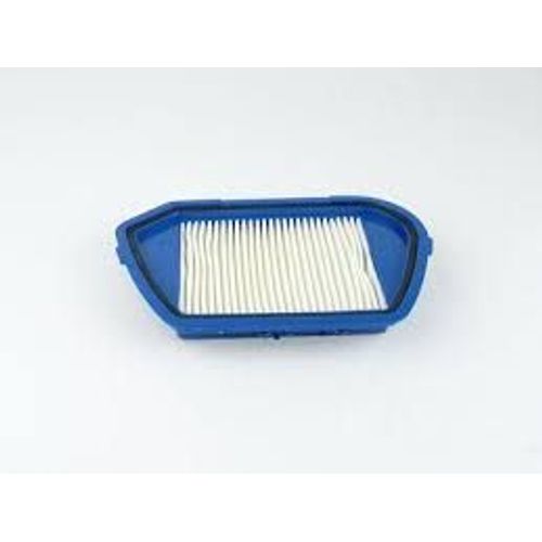 FILTRE HEPA ASPIRATEUR COMPACTEO (RS-RT900097)
