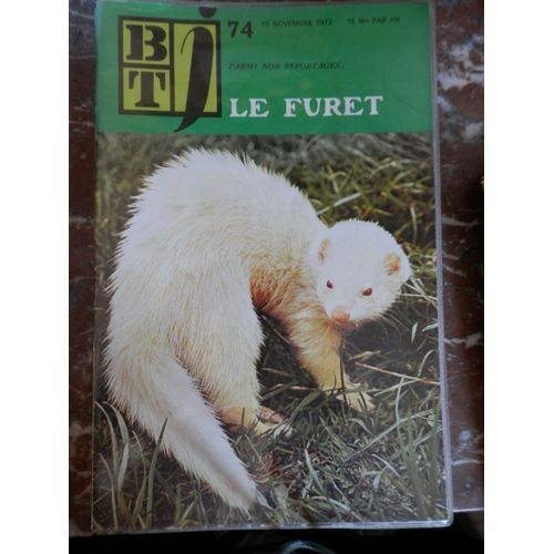 Btj  N° 74 : Le Furet