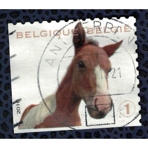 Belgique 2010 Oblitéré Rond Used Animaux Horse Foal Poulain Cheval
