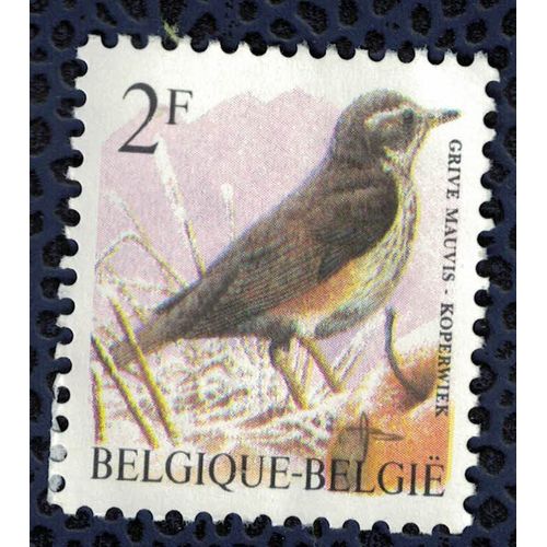 Belgique 1996 Sans Gomme Used Bird Oiseau Grive Mauvis