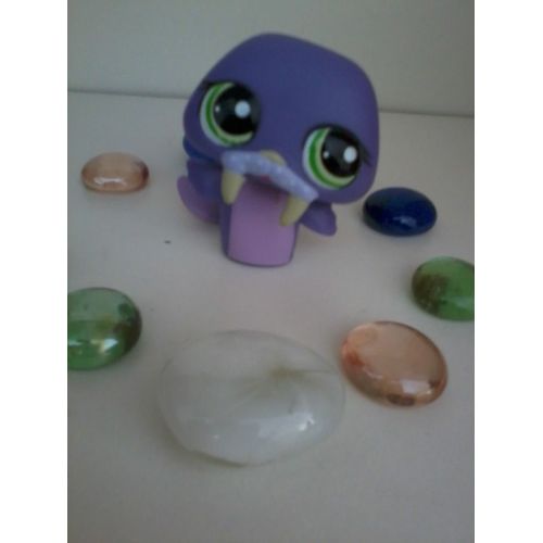 Figurine Morse Violet Edition Speciale Lps Petshop Littlest Pet Shop N° 1511