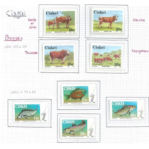 Ciskey N° 115 À 118 & 70 À 73
