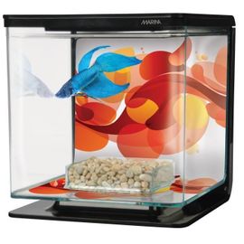 aquarium mural