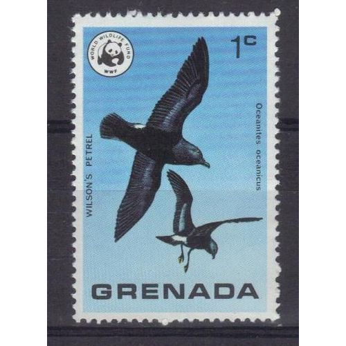 Grenade 1978 : Oiseau Sauvage De Grenade : Pétrel - Timbre Neuf **