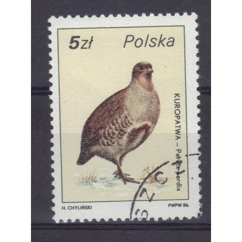 Pologne 1986 : Oiseau : Perdrix - Timbre Oblitéré