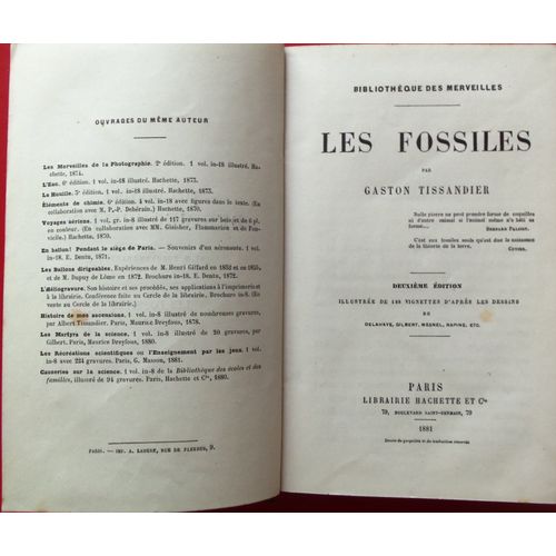 Les Fossiles