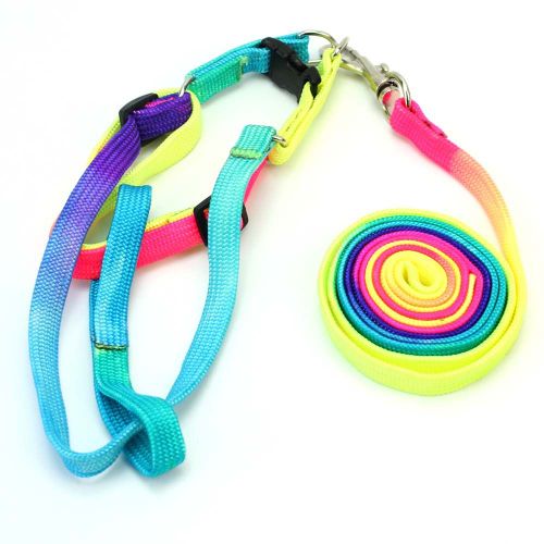 Laisse Harnais En Nylon Sécurité Sangle Coloré Pour Chien Chat Lapin Animaux
