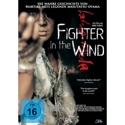 Fighter In The Wind