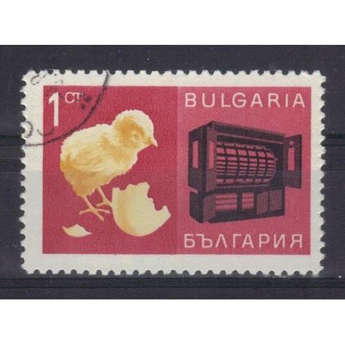 Bulgarie 1967 : Oiseau : Volaille : Poussin - Timbre Oblitéré