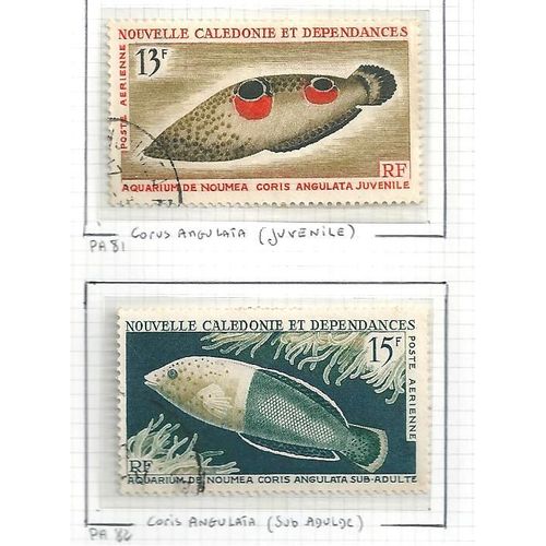 Nouvelle Caledonie N° Pa 81 &82