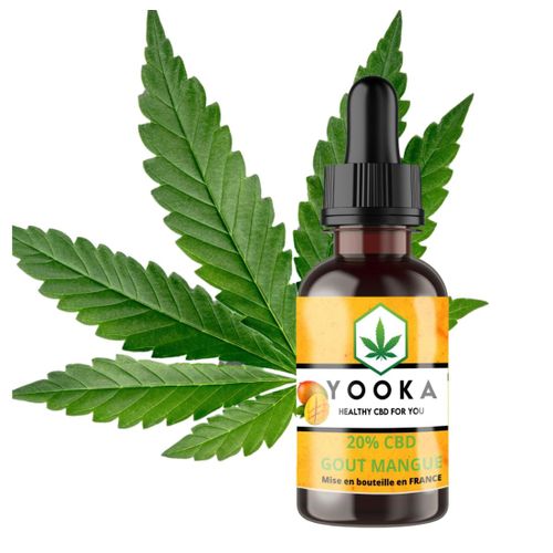 Huile Mangue Cbd Bio Mct 20% Full Spectrum 10ml 