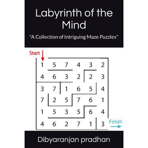 Labyrinth Of The Mind: "A Collection Of Intriguing Maze Puzzles"