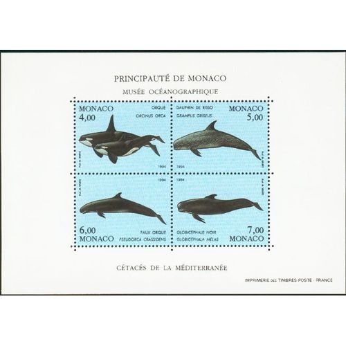 Bf 64 Monaco, Cétacés De La Méditerranée