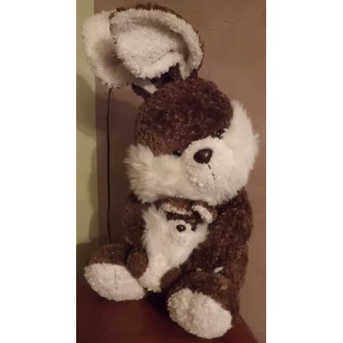 Lapin Marron Et Blanc Mgm