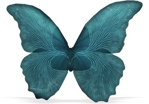 Until Dawn_image_5|Rakuten