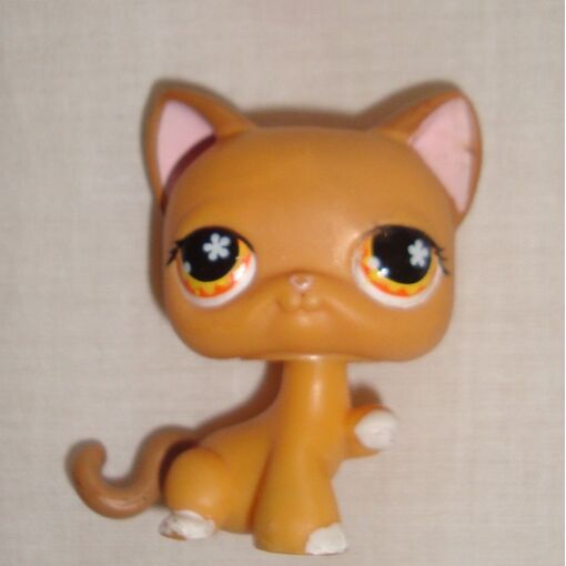 Figurine Littlest Pet Shop - Chat Chartreux - Réf. 539 - Occasion