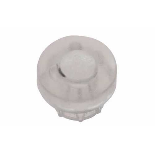 49022152. CACHE AMPOULE ROSIERES