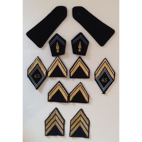 Epaulette + Insigne De Col Régiment Armée De Terre