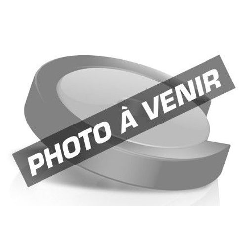 Ricoh - Noir - originale - cartouche de toner - pour Gestetner SP C231, SP C232; NRG SP C231, SP C232; Rex Rotary SP C231, SP C232