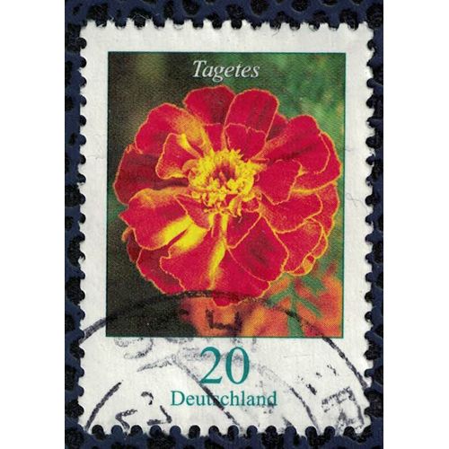 Allemagne 2005 Oblitéré Rond Used Flower Marigold Fleur Souci Tagetes