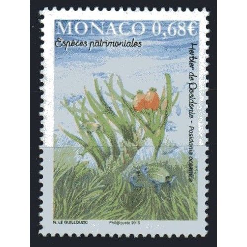 Faune Et Flore Marines