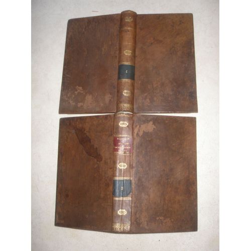 Histoire De Saint Vincent De Paul Fondateur De La Congrégation Des Prêtres De La Mission Et Des Filles De La Charité. Deux Tomes.