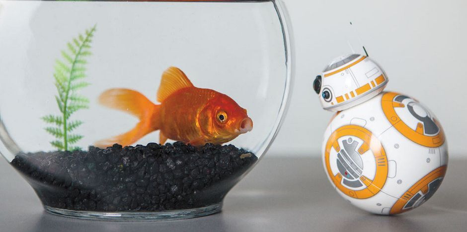 Robot interactif dro�de Star Wars BB-8_image_5|Rakuten