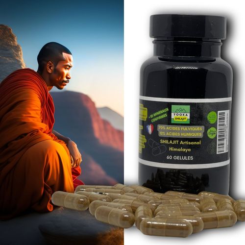 Yooka Shilajit 60 Gelules Naturel Artisanal Or Pure. 70% Acide Fulvique, Test En Laboratoire Garantissant +85 Minéraux, 12% Acide Humique, Oligo-Éléments. Séchage Soleil 60j, Purifiée 40 Fois. 