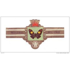 Willem Ii Serie V 2491 Papillo Pausanias