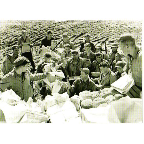 Ww2 - Distribution De Pain Et Journaux Le 7 Juillet 1944