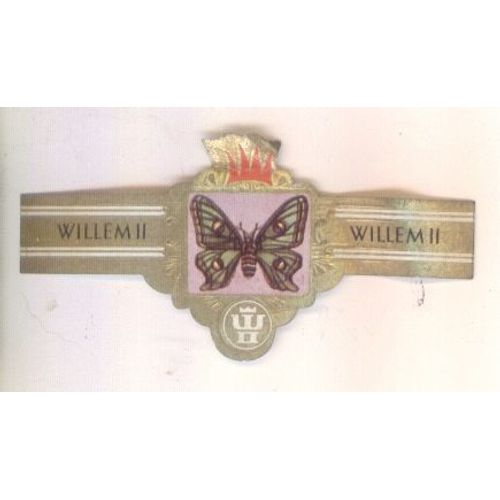 Willem Ii  Serie V 2480 Graellsia Isabellae