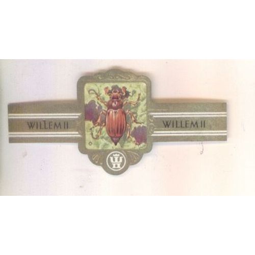 Willem Ii  Serie Xx 3028 Melonlothe Hippocastani
