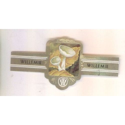 Willem Ii  Serie Xv 2864 Helvella Macropus