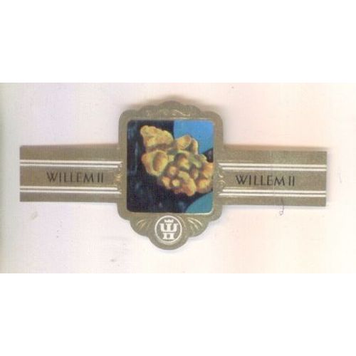 Willem Ii  Serie Xviii 2978 Tremelle Mesenterique