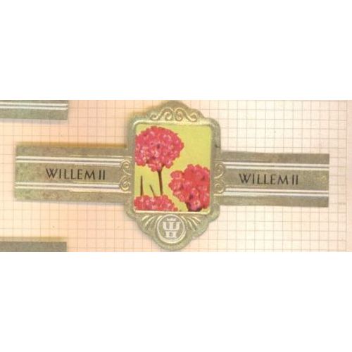 Willem Ii  2312 Armeria