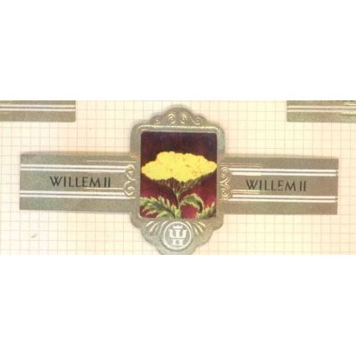 Willem Ii  2166 Millefeuille