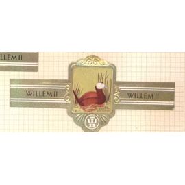 Willem Ii  Serie Xi 2699 Erismature A Tete Blanche