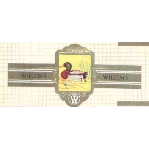 Willem Ii  Serie Xi2686 Canard Colvert
