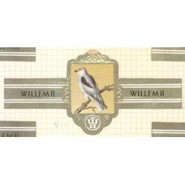 Willem Ii  Serie Viii 2601 Elanion Blanc