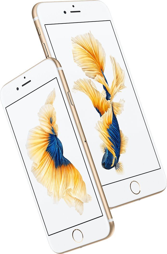 Apple iPhone 6s Plus 64 Go Argent_image_6|Rakuten