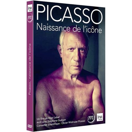 Picasso : Naissance D'un Icône