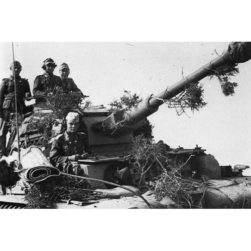 Ww2 - Char Allemand À El Alamein