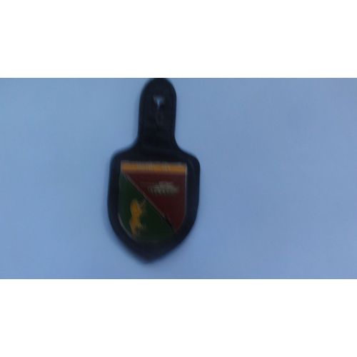 Insigne Bundeswehr  Panzer Bataillon 141