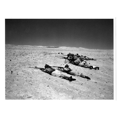 Ww2 - Méharistes De L'armée Française Au Combat