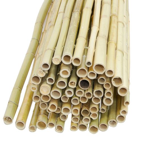 Canisse En Bambou Lot De 5