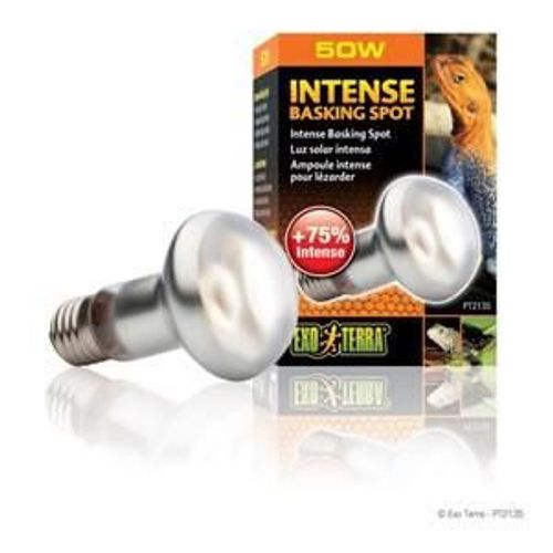 Intense Basking Spot Ampoule 50 W