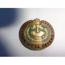 Insigne Instructeur U.S. Army Drill Sergeant Id Badge "This We'll Defend" 