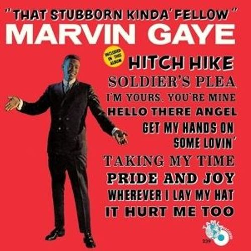That Stubborn Kind Of Fellow