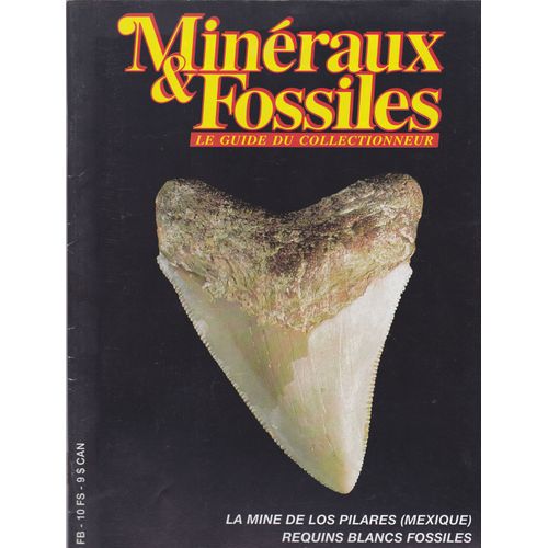 Minéraux Et Fossiles Le Guide Du Collectionneur N° 250 