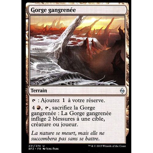 Gorge Gangrenée - La Bataille De Zendikar Vf - U - 231/274